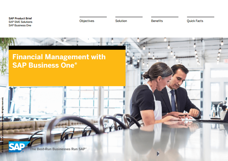 Financial Management with SAP Business One